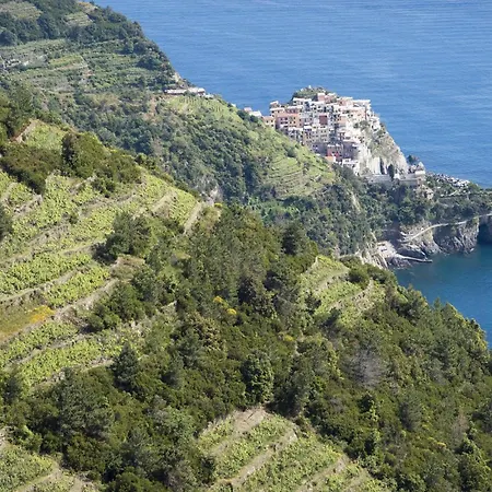 Cozy In With Wifi 아파트 *